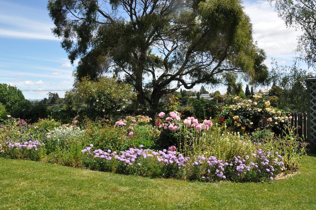 Harbinger House Bed and Breakfast Tauranga Eksteriør billede