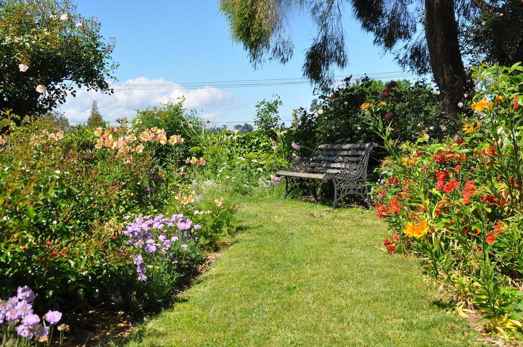 Harbinger House Bed and Breakfast Tauranga Eksteriør billede